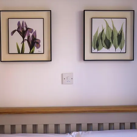 H&o Olive House Apartment