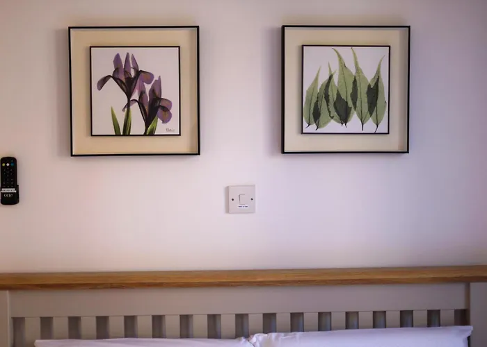 H&o Olive House アパート