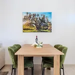 H&o Olive House * פאפוס